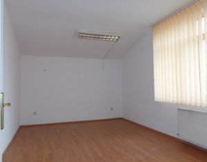 Maison 5 chambres à vendre dans Cluj-napoca, zone Plopilor