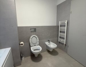 Maison 4 chambres à louer dans Cluj-napoca, zone Iris