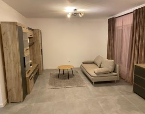Maison 4 chambres à louer dans Cluj-napoca, zone Iris