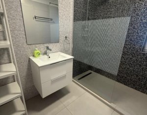 Maison 4 chambres à louer dans Cluj-napoca, zone Iris