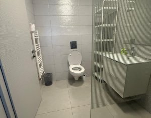 Maison 4 chambres à louer dans Cluj-napoca, zone Iris