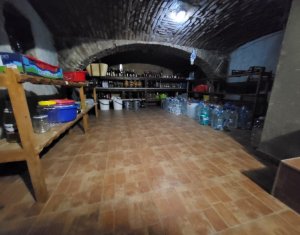 CASA REZIDENTIALA DE LUX + 5 SPATII COMERCIALE CU CHIRIASI