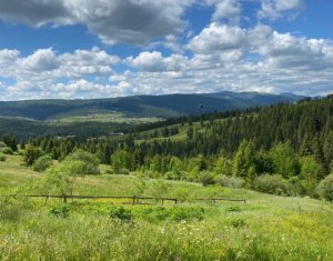 Oportunitate.Teren de vanzare la munte-BELIS