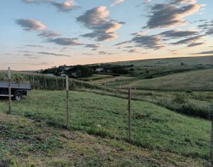 , 700m2 in Cluj-napoca