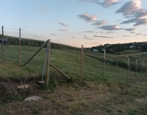 Terrain à vendre dans Cluj-napoca