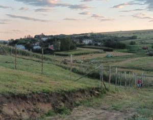Terrain à vendre dans Cluj-napoca