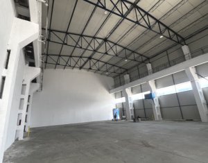 Industrial space for rent in Cluj-napoca, zone Someseni