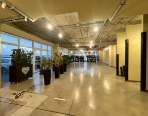 Spatiu comercial 290mp open space, 6 parcari, Eroilor - Floresti