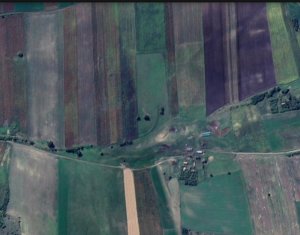 Teren nucifer cu plantatie de aluni, sat Frata, jud. Cluj