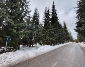 Maisons de vacances à vendre dans Marisel