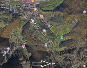 , 1071m2 dans Floresti