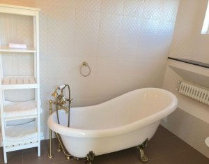 Appartement 4 chambres à louer dans Cluj-napoca, zone Europa