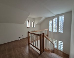 Office for rent, 244m2 in Cluj-napoca