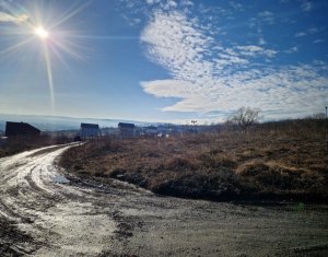 , 838m2 dans Cluj-napoca, zone Iris