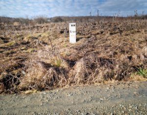 Terrain à vendre dans Cluj-napoca, zone Iris