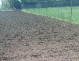 Maison 3 chambres à vendre dans Floresti