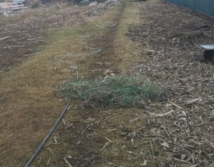 Maison 3 chambres à vendre dans Floresti