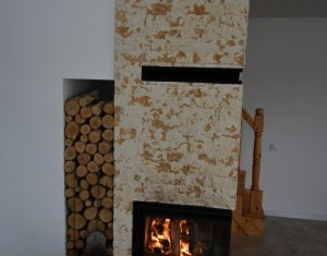 Nyaralók eladó on Baisoara