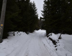 Nyaralók eladó on Baisoara