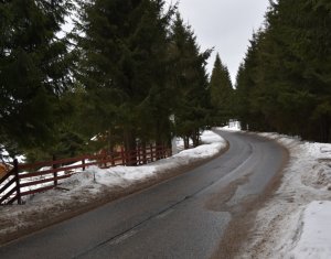 Nyaralók eladó on Baisoara