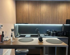 Appartement 1 chambres à louer dans Cluj-napoca, zone Zorilor