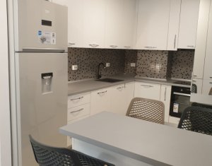 Appartement 2 chambres à louer dans Cluj-napoca, zone Buna Ziua