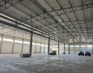 Ipari helyiség kiadó, 600m2 on Baciu