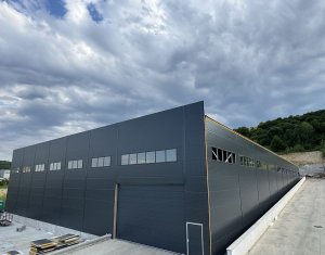 Ipari helyiség kiadó on Baciu