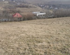 Telek eladó on Feleacu