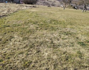 , 2087m2 on Cluj-napoca