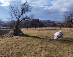Telek eladó on Cluj-napoca