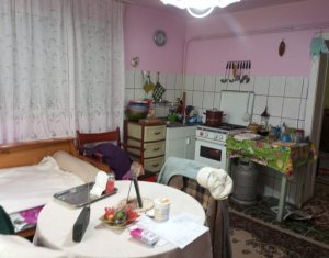  Casa cu teren 3320mp sat Dumbrava Capusu Mare