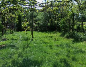  Casa cu teren 3320mp sat Dumbrava Capusu Mare