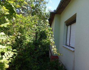  Casa cu teren 3320mp sat Dumbrava Capusu Mare