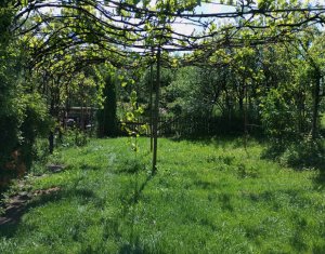  Casa cu teren 3320mp sat Dumbrava Capusu Mare