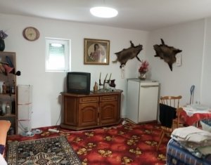  Casa cu teren 3320mp sat Dumbrava Capusu Mare