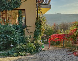 Ház 6 szobák eladó on Baciu