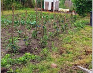 Oază de liniște la 30 km de Cluj: Casă complet renovată cu grădină generoasă