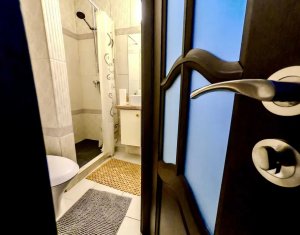 Lakás 1 szobák kiadó on Cluj-napoca, Zóna Intre Lacuri