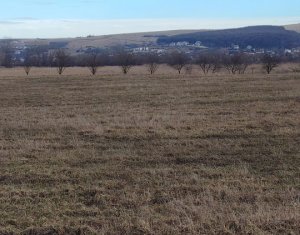 Telek eladó on Jucu