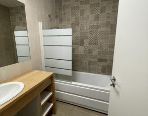 Apartment 2 rooms for rent in Cluj-napoca, zone Buna Ziua