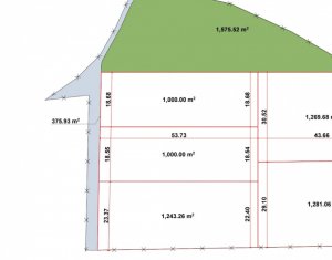 Terrain à vendre dans Macicasu