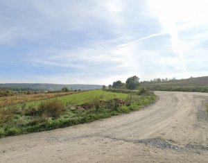 , 7975m2 on Cluj-napoca, Zóna Sopor