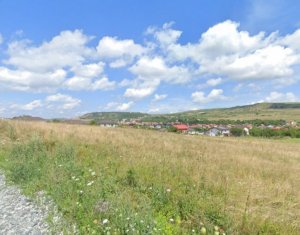 Telek eladó on Chinteni