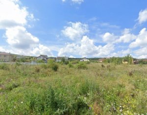 Telek eladó on Chinteni