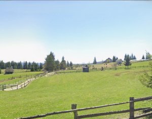 , 11500m2 on Marisel