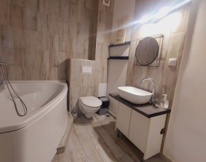 Appartement 1 chambres à vendre dans Cluj-napoca, zone Intre Lacuri