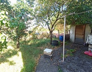 Imobil activitati economice,  S+P+M, teren 445mp front 21m