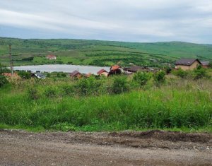 Land for sale in Campenesti