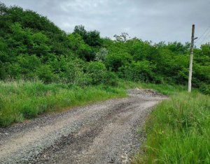 Land for sale in Campenesti
